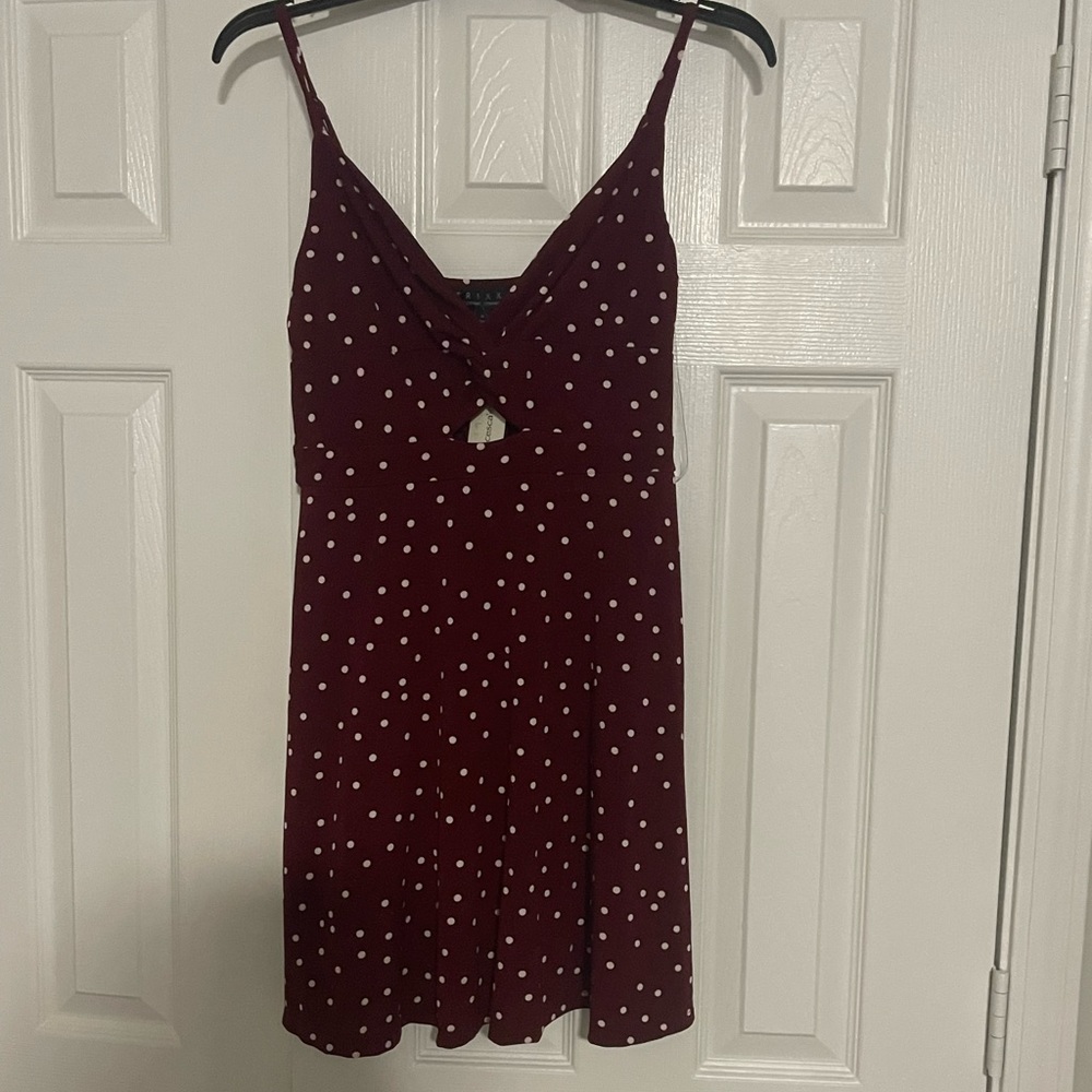 Brand new Dress from francesscas (TRIXXI clothing company) NWT size M